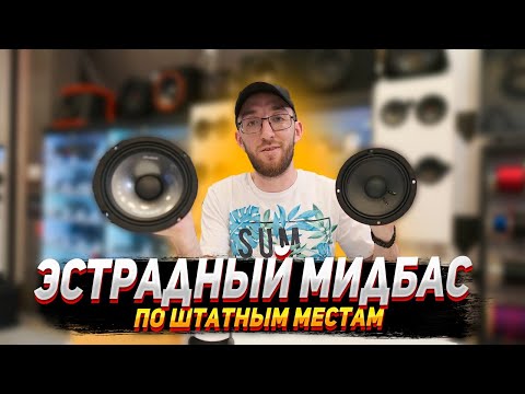 Видео: Эстрадный мидбас по штатным местам