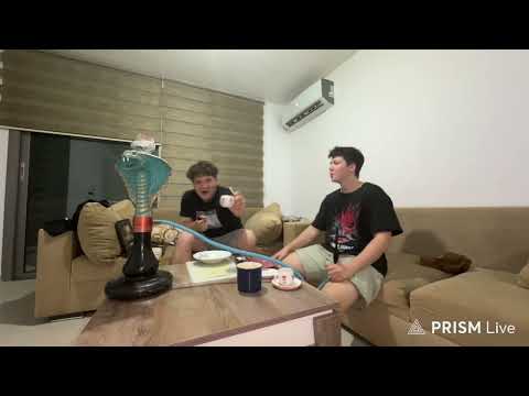 Видео: ЭТО ЧАЙ!!!