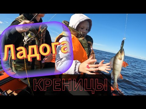 Видео: Ладога. Креницы.