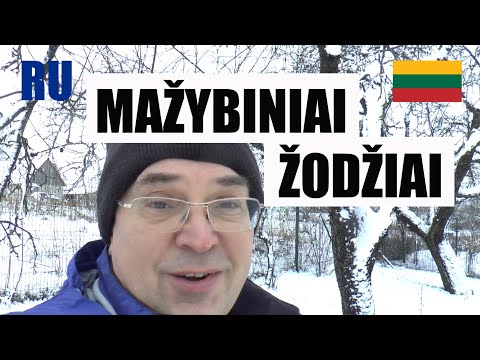 Видео: ЛИТОВСКИЙ ЯЗЫК - 87 -  MAŽYBINIAI DAIKTAVARDŽIAI (ŠEIMA)