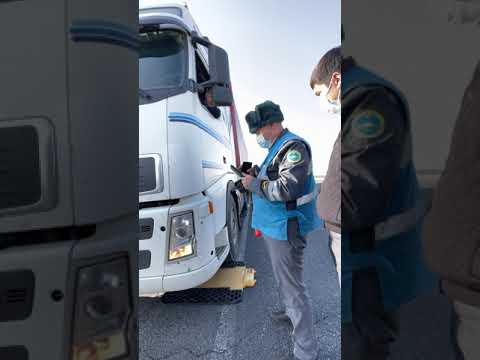 Видео: АСКО АСКО міне біздің транспортниктердің адалдығы әрі әділдігі