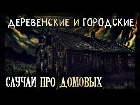 Видео: Деревенские и Городские случаи про Домовых (4в1)