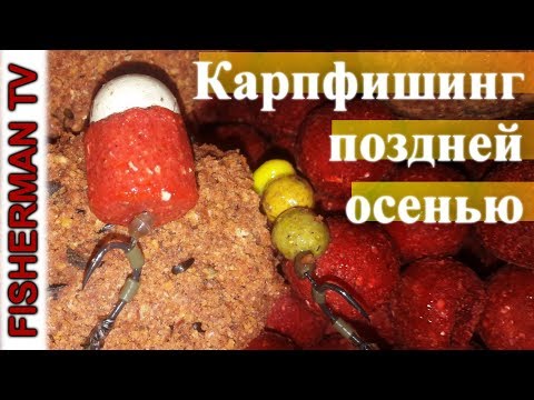 Видео: Карпфишинг поздней осенью