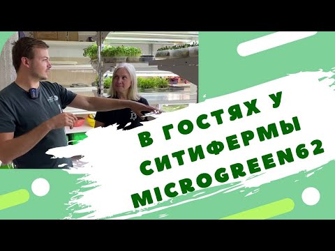 Видео: Сити Ферма 20м2 | Хобби как бизнес | Обзор фермы Микрозелени в Рязани