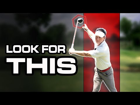 Видео: «Секрет Мо Нормана: как добиться успеха с постоянством».