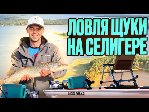 Видео: ЩУКА, Селигер и ловля на спиннинг на СОВРЕМЕННЫХ лодках