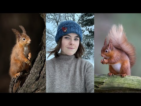 Видео: История о рыжей белке в Шотландском нагорье