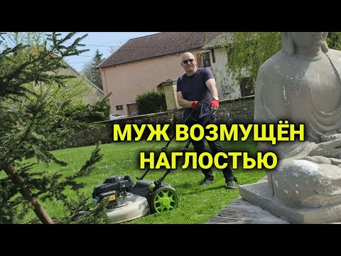 Видео: работа в Швейцарии у садовников | разница менталитета| за что могут уволить