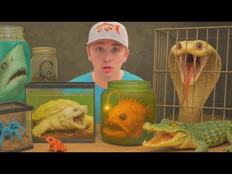 Видео: Я купил самых опасных животных мира…