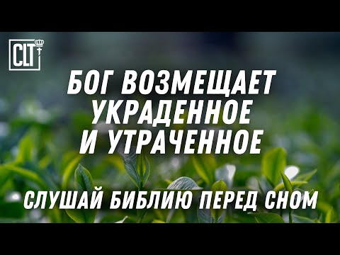 Видео: Ты будешь, как напоенный водою сад и как источник, воды которого  не иссякают #Библия #relaxing