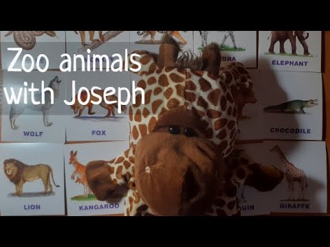Видео: Животные зоопарка на английском с жирафиком Джозефом для малышей.#Zoo#animals for toddlers
