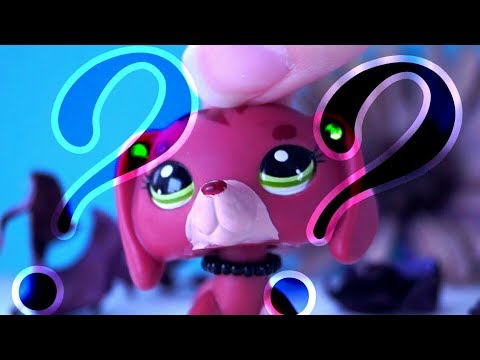 Видео: LPS: КОНФЛИКТ С SAD ROUSE/МОЁ УЧАСТИЕ В КОНКУРСАХ