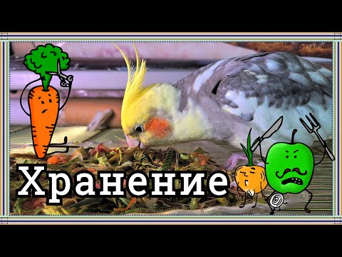 Видео: ХРАНЕНИЕ ОВОЩЕЙ И ФРУКТОВ ДЛЯ ПОПУГАЕВ.
