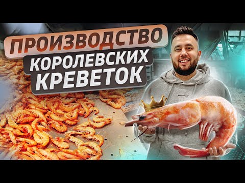 Видео: Выращивание креветок. Бизнес идея. Креветочная ферма