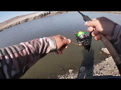 Видео: Ловля жерешков в Армении