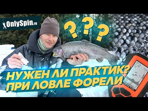 Видео: Нужен ли ПРАКТИК при ловле ФОРЕЛИ? Рыбалка с #OnlySpin