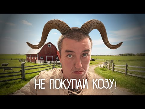 Видео: Не покупай Козу, пока не посмотришь