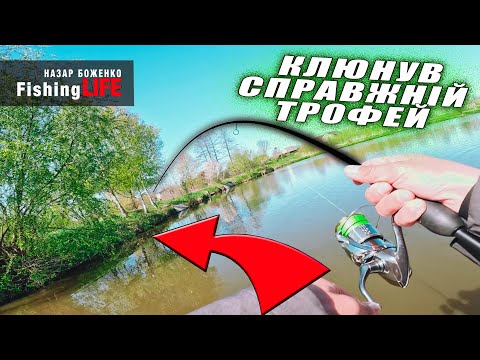 Видео: ОСЬ ЦЕ ТАК ТРОФЕЙ - Неочікував ЙОГО Зловити ТУТ
