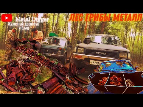 Видео: Финальная часть поиска в месте "за каналом"! Вывезли всё..почти..