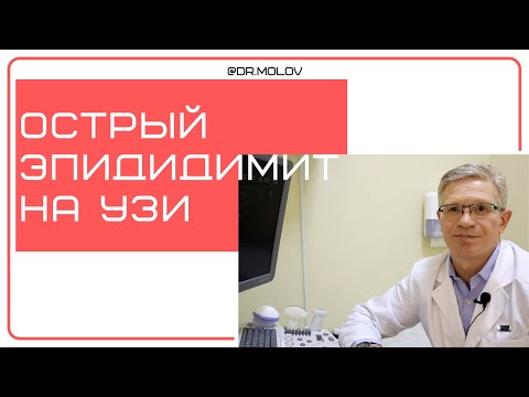 Видео: Эпидидимит,  при УЗИ мошонки