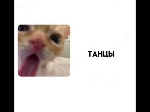 Видео: песни для вайба#рек#рекомендации#песни#вайб#рек