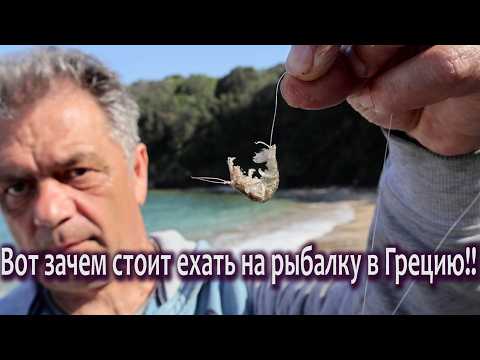Видео: Первая суперудачная морская рыбалка в этом году! Такой улов радует!