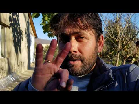 Видео: Процесс приготовления Грузинского вина и немного о Чача)))