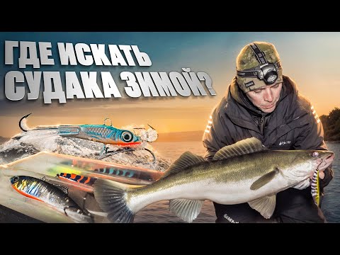 Видео: НОЧНАЯ ЛОВЛЯ СУДАКА НА БОЛЬШОЙ РЕКЕ | ВРЕМЯ, МЕСТА И ПРОВОДКИ