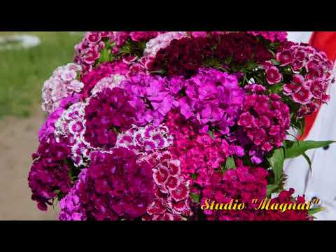 Видео: Последний звонок 2018. Герейхановская СОШ №1.