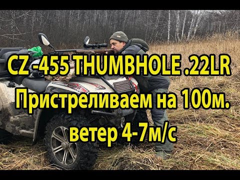 Видео: CZ-455THumBHole .22LR - пристрелка на ветру.