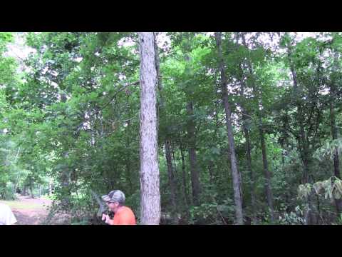 Видео: Учебное пособие по обрезке петель: традиционная рубка деревьев против обрезки петель