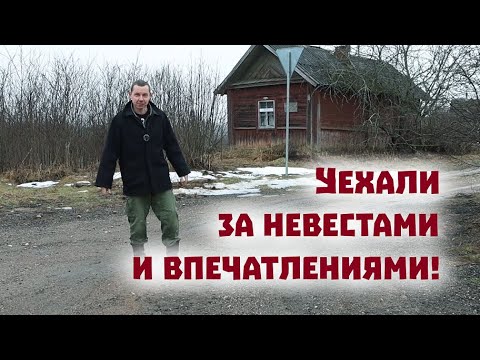 Видео: Едем за невестами и снова переживаем страшные моменты!