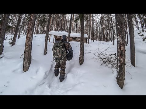 Видео: Нашел хижину у реки. ЗАБЛУДИЛСЯ В ЛЕСУ! Необычный поход на лыжах!
