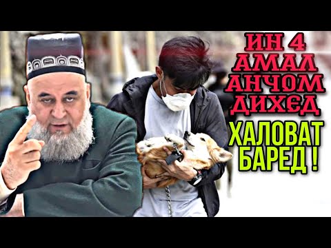 Видео: ИН 4 АМАЛ АНЧОМ ДИХЕД - ХАЛОВАТ БАРЕД!!! ХОЧИ МИРЗО