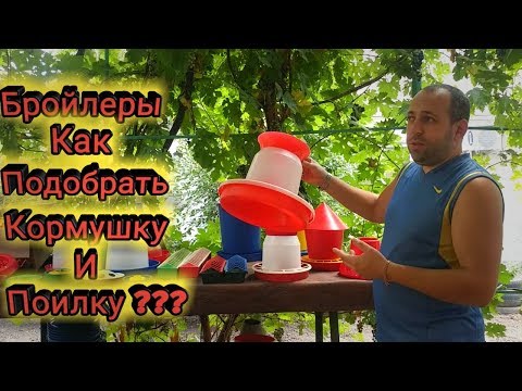 Видео: Бройлеры Как Подобрать Кормушку и Поилку ?