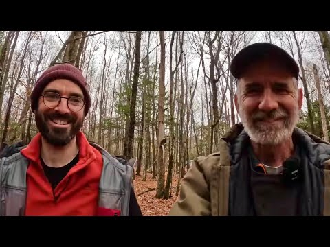 Видео: Мой будущий зять помогает бревну с лошадьми!! #859