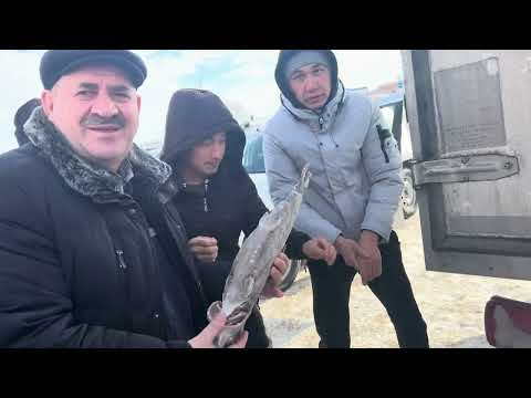 Видео: Актобе. Рынок «Табыс» Цены кусаются