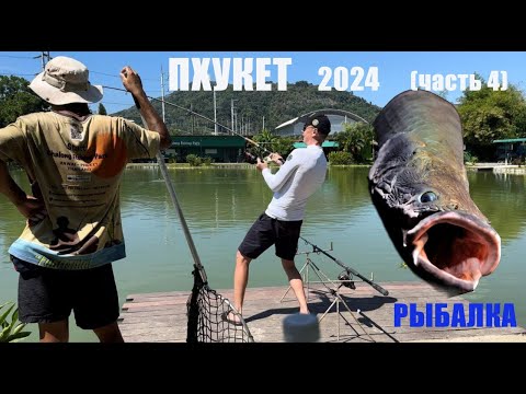 Видео: Пхукет 2024. Рыбалка на Пхукете. Запустили арапайму. Рыбы-ГИГАНТЫ оборвали все крючки.  Insta360 X3