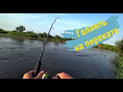 Видео: Голавль на перекате. Днепр. Спиннинг