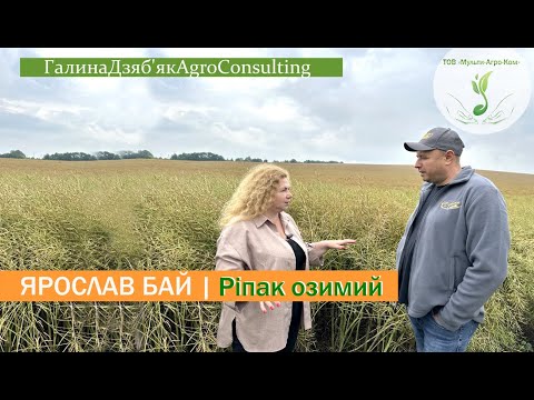 Видео: Ріпак озимий: інсектицидний протруйник, гібриди, ґрунтові гербіциди, регуляція, бор