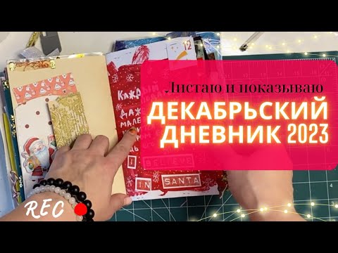 Видео: Декабрьский дневник 2023 и личный дневник. Листаю и показываю оба блокнота.