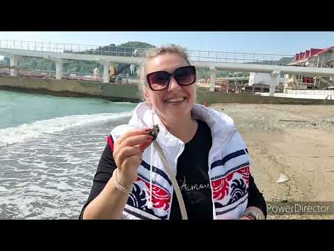 Видео: #Хоста/Гуляем по набережной 🌴🌞🌊/Голубиная любовь 🕊/Территория Авроры.