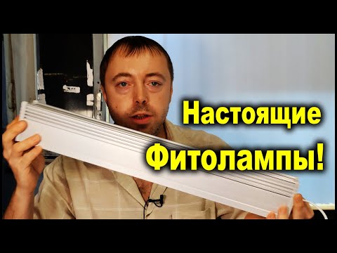 Видео: Фитолампы практичный огород купить.