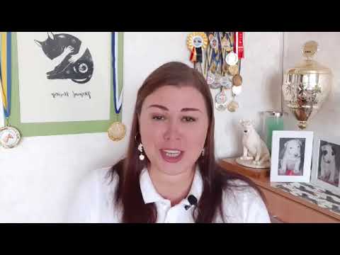 Видео: Понос, слабый стул и слизь в кале при натуральном питании собак.