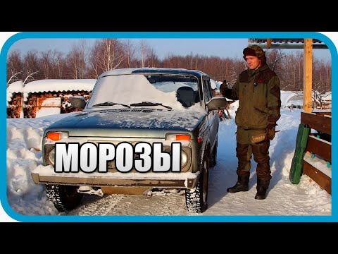 Видео: МОРОЗНЫЕ ПРИКЛЮЧЕНИЯ В ДЕРЕВНЕ