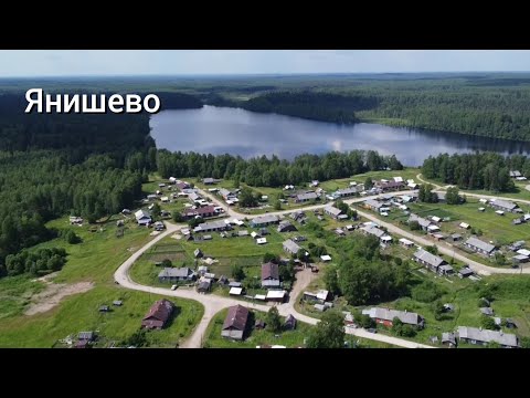 Видео: Деревня Янишево,вот моя деревня 👍👍