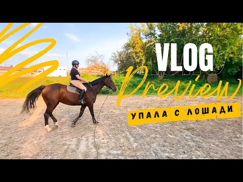 Видео: VLOG | упала с лошади | начала ездить галопом | большой конный влог