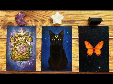 Видео: 14 НОЯБРЯ, ЭТО НАШЛО ВАС НЕСПРАВЕДЛИВО!🔮🐈‍⬛🌙 | Гадание на картах Таро «Выберите карту»