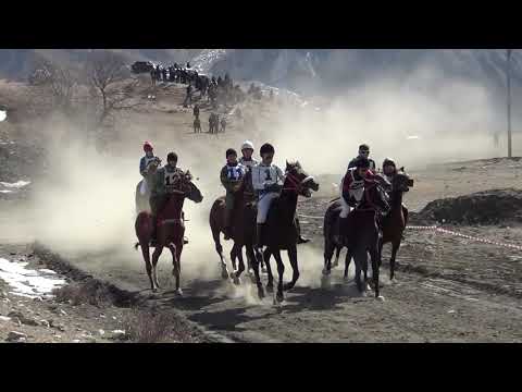 Видео: Скачки 2021