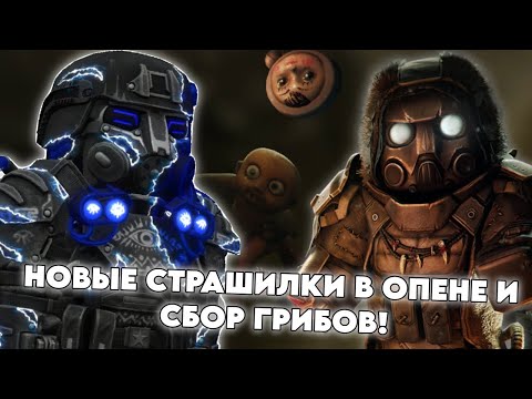 Видео: БУДНИ В РУБЕЖЕ В STALCRAFT X | DAY 27 | НОВЫЕ СТРАШИЛКИ В ОПЕНЕ И СБОР ГРИБОВ!